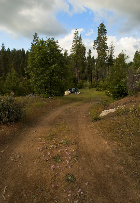 Near Perfect Campsite