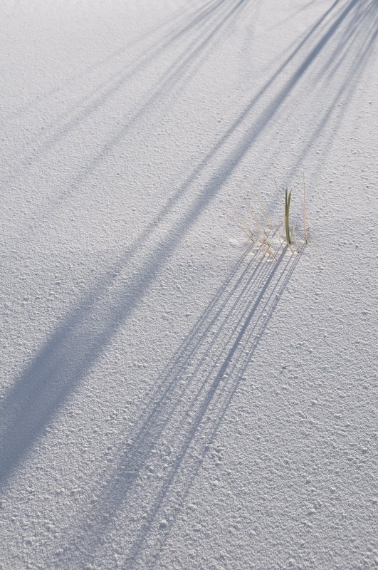 White Sands Simple