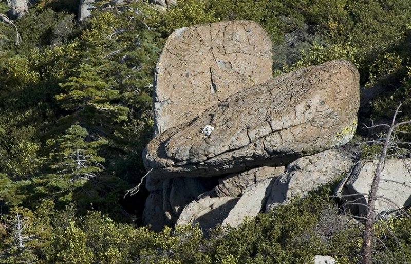 Snake Rock