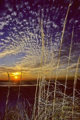 Kodachrome Sunset Sea Oats Mackerel Sky
