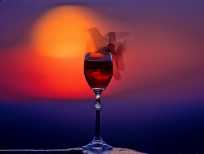 Multiple silhouette hummer and wine glass landing