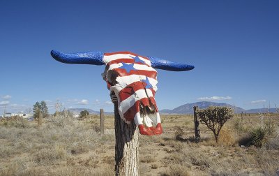 Patriotic Bull