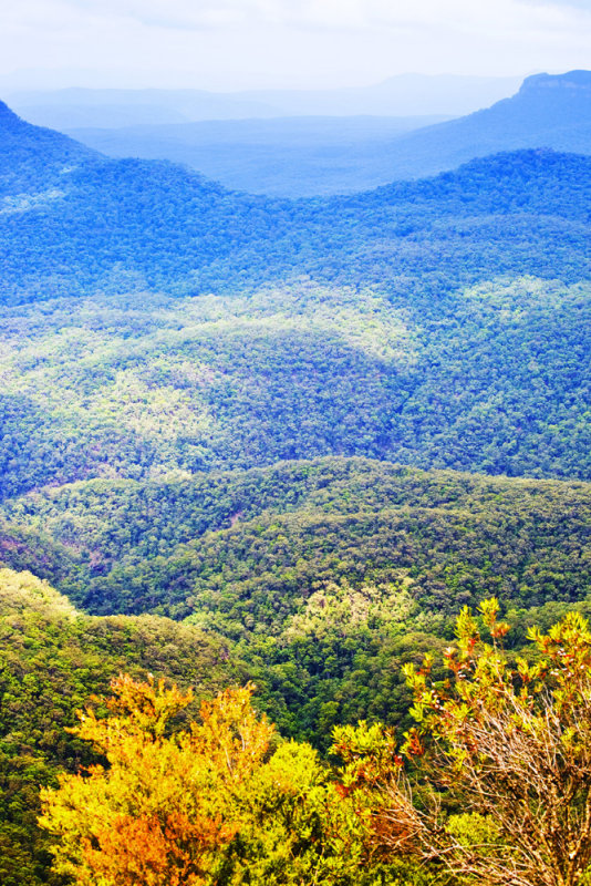Blue Mountains