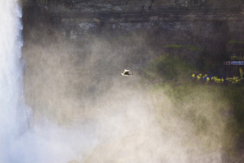 Niagara Fall