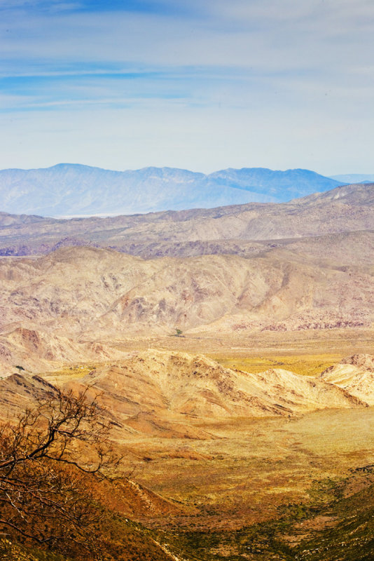 Laguna Mountains