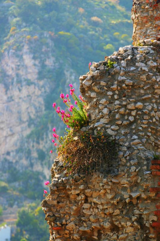 Ancient Walls