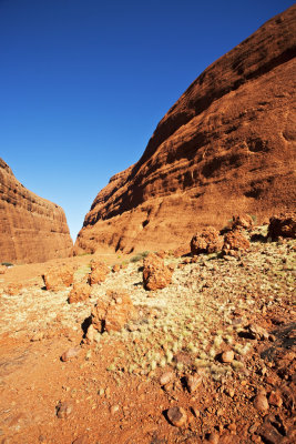 Desert in Northern Territory