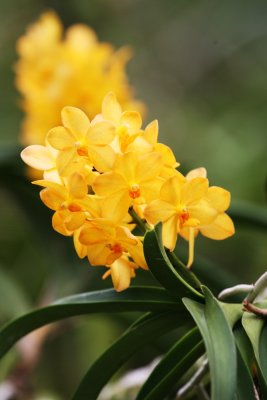 Botanical Garden