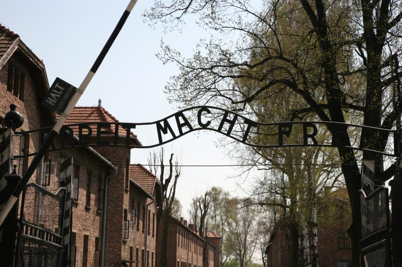 auschwitz work sets you free