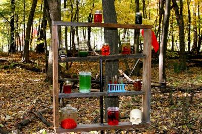 Lab in forest