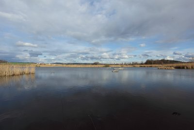 IMG_7848.JPG