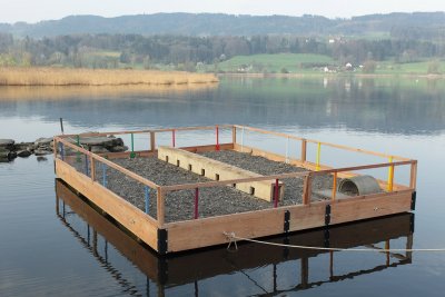 Breeding raft ready to be towed out