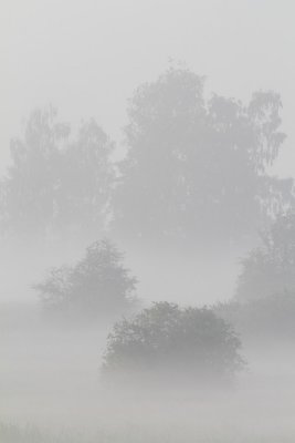 IMG_3437.JPG