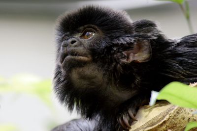 060411_Zoo_059.JPG