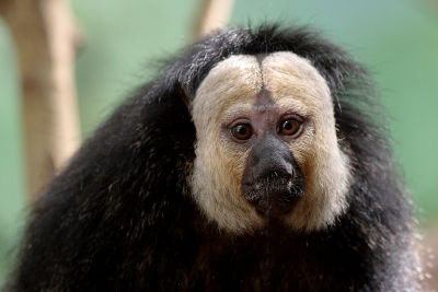 060411_Zoo_060.JPG