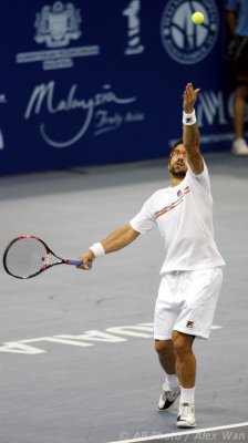 ATP2011-F-Tipsarevic-Baghdatis-31s.jpg