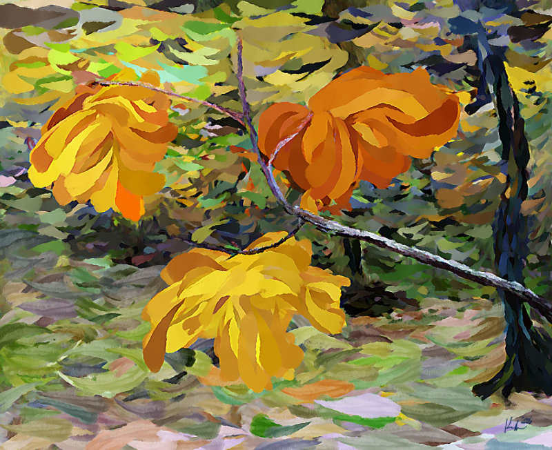 maple 12x10