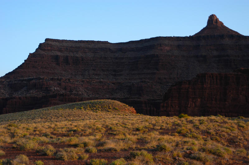 Illuminated Goose Neck mesa