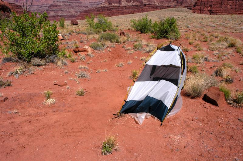 Windy at camp