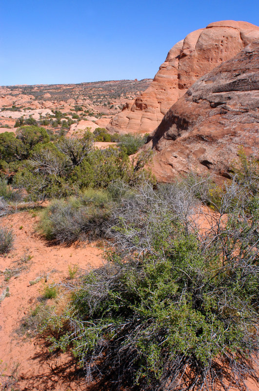 Getting back into the sandstone