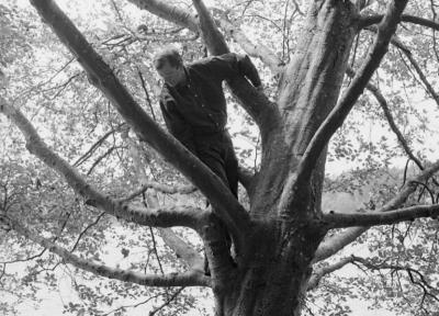 Tree climber