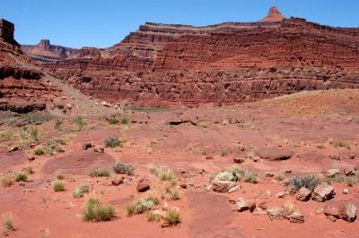 Looking northwest at Shafer Trail