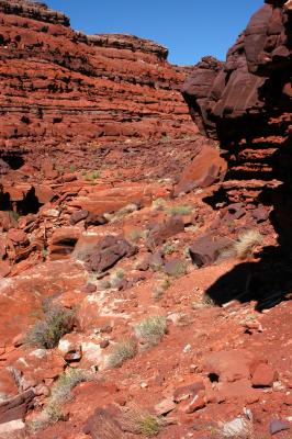 Bouldery traverse route in dry canyon