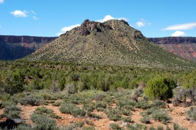 Looking west at Round Mountain and Porcupine Rim
