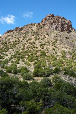 Round Mountain's south slope