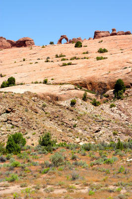 Arch view from the dirt road