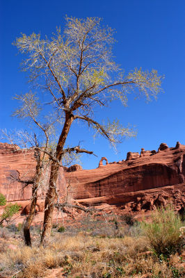 Arch Circumnavigation, Part 2: Winter Camp Wash Amphitheater