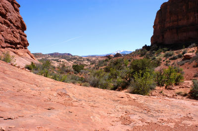 View toward mouth of the canyon, with deer rump