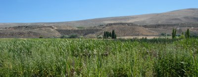 Cut and fill west of Othello, Washington