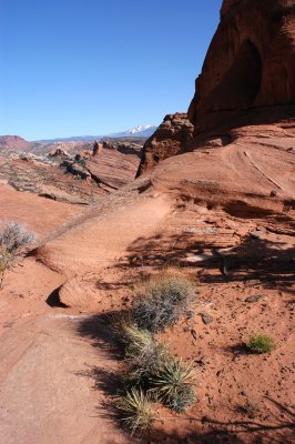 Variety of terrain