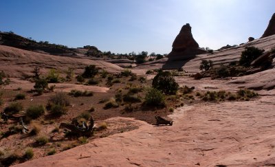 View to the west while leaving the basin