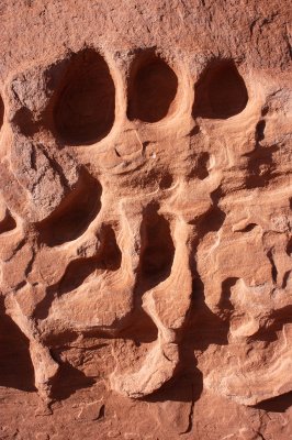 Footprint of an Imaginisaurus Listoramae