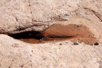 Rain puddle and moist sand; width of scene is about 24 inches (61cm)