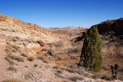 In the stream canyon