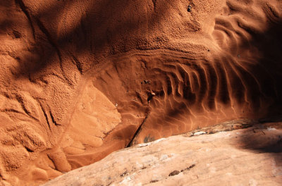 Flow pattern in a wash (scene is about three feet [90cm] wide )