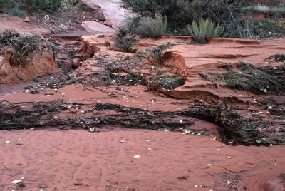 I wish the Park Service would do something about this unsighly debris on the stream bed!