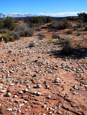 Average size of the stones was about 1.5 inches (3.8cm) wide