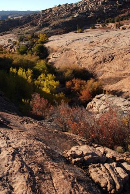 Downstream view of Winter Camp Wash