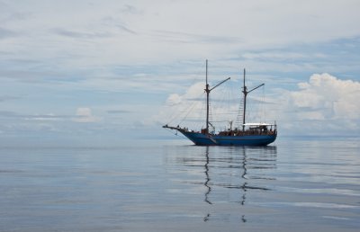 g4/93/584993/3/138912998.zsWWykm9.jpg