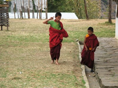 novice monks at the Mad Monk's