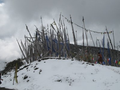 prayer flags at Chelela Pass