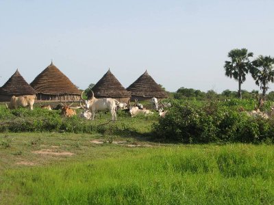 a Dinka homestead