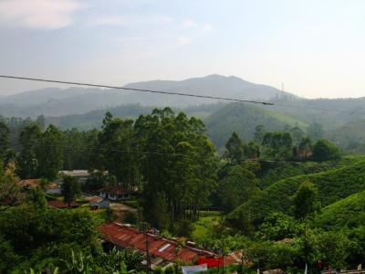 g4/93/586793/3/60228084.MunnarMunnar008.jpg
