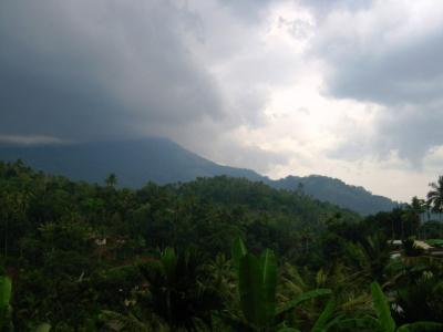 g4/93/586793/3/60228096.MunnarMunnar035.jpg