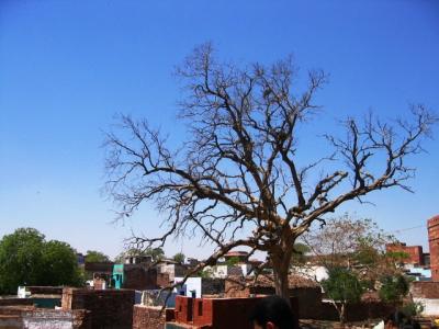 g4/93/586793/3/60333269.FatehpurFatehpurSikri057.jpg