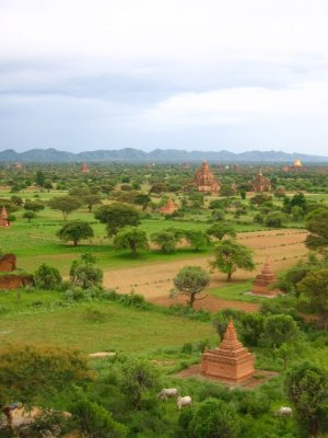 Bagan 046.jpg